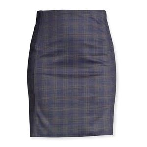 NWT skirt (10P)